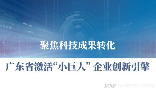 仲毅咨詢 聚焦科技成果轉化，激活廣東中小企業創新引擎