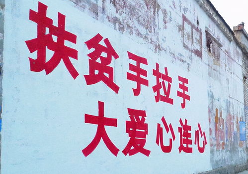 干部下沉，智治融合 岳西縣以社會(huì)咨詢服務(wù)推動(dòng)基層治理現(xiàn)代化